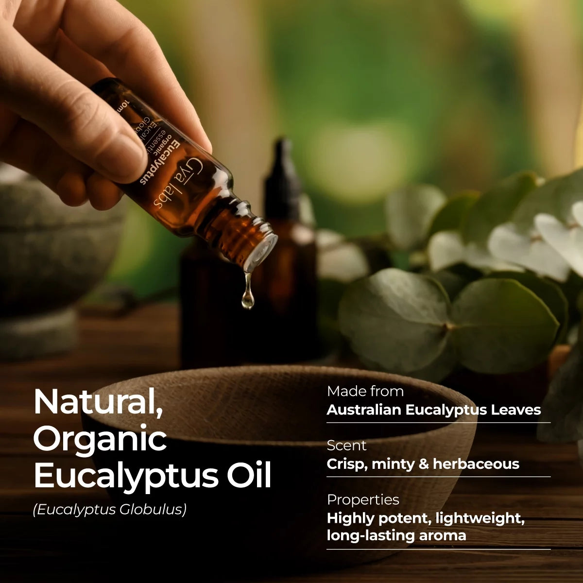 Organic Eucalyptus Essential Oil for Diffuser - Eucalyptus Oil Essential Oil - Eucalyptus Essential Oil Organic for Skin Humidifier & Hair (0.34 Fl Oz)